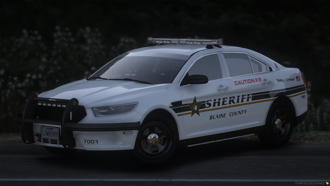 2018 Generic K-9 sedan